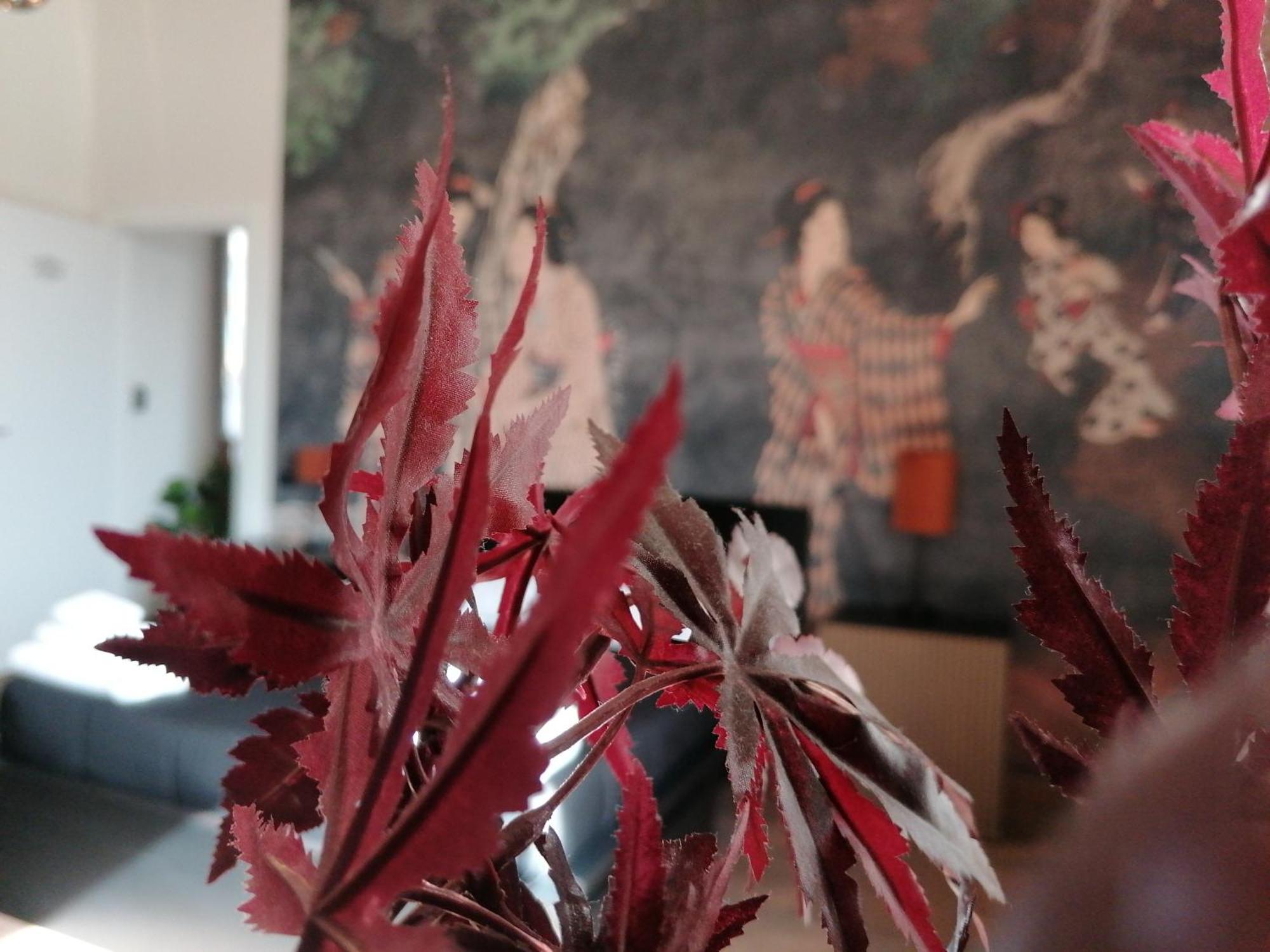 Le Boutique Luxury Rooms Diffused In Historic Center フィウミチーノ エクステリア 写真