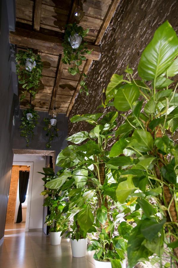 Le Boutique Luxury Rooms Diffused In Historic Center フィウミチーノ エクステリア 写真